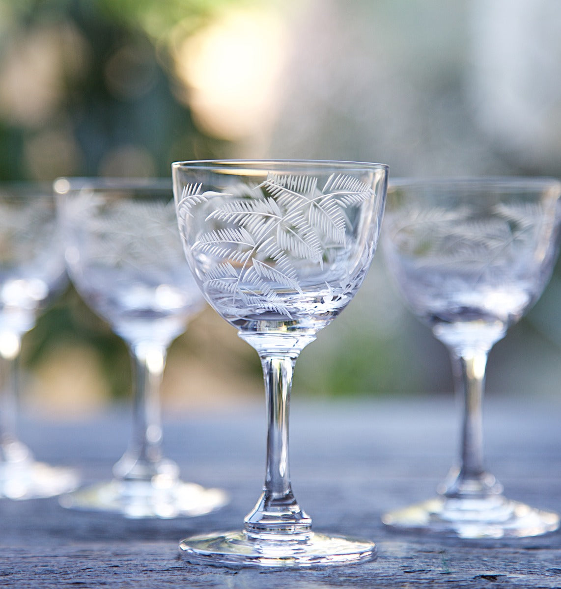 Set of 6 Crystal Liquer Glasses with Fern Design