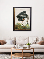 c.1838 Audubon's Great Blue Heron Vintage Framed Print
