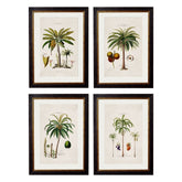 1843 American Palm Trees Framed Print