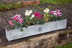 Traditional Handcrafted Galnvanised Steel Window Boxes with Tudor Rose Decor