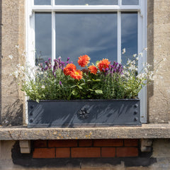 Traditional Handcrafted Galnvanised Steel Window Boxes with Tudor Rose Decor