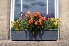 Traditional Handcrafted Galnvanised Steel Window Boxes with Tudor Rose Decor