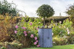 Handcrafted Round Galvanised Steel Planters | Arthur Jack