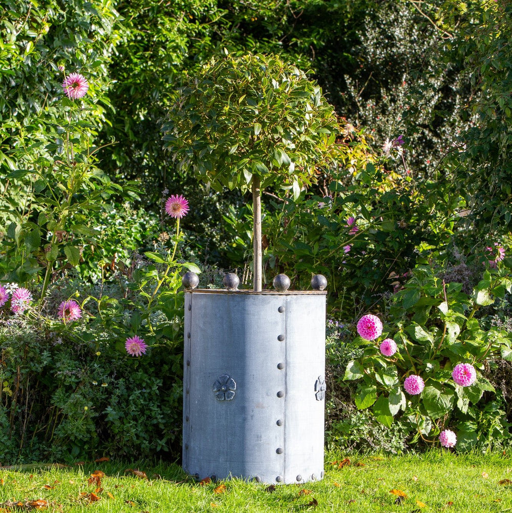 Handcrafted Round Galvanised Steel Planters | Arthur Jack