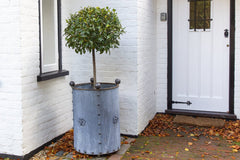 Handcrafted Round Galvanised Steel Planters | Arthur Jack