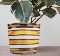 Large 25cm Eco Woven Plant Pot Cover in Tuscan Yellow, Pearl & Rose Beige, British Colour Standard