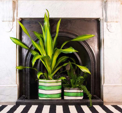 Large 25cm Eco Woven Plant Pot Cover in Grass Green, Indigo & Pearl, British Colour Standard