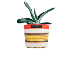 Small 14cm Eco Woven Plant Pot Cover in Tuscan Yellow, Pearl & Rose Beige, British Colour Standard