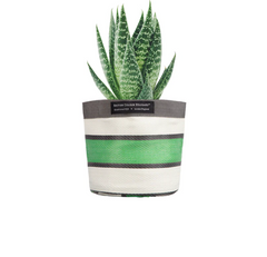 Small 14cm Eco Woven Plant Pot Cover in Grass Green, Indigo & Pearl, British Colour Standard