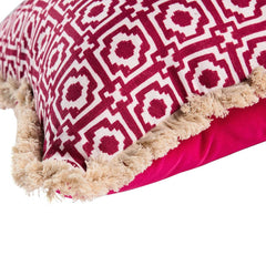 Alotablots' Cushion in Raspberry with Raspberry Velvet Back & Cream Fringe- Kelling Home