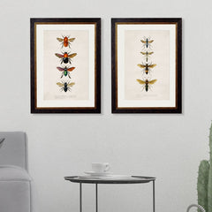 1892 'Bees and Wasps' Framed Print