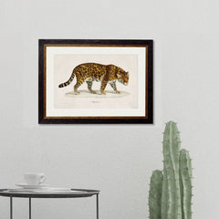 1824 Vintage Jaguar Framed Print