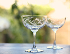 Set of 6 'Ferns' Champagne Glasses