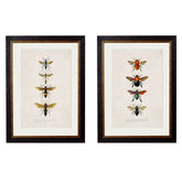 1892 'Bees and Wasps' Framed Print