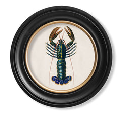 C.1876 Crayfish Vintage Print with Round Frame