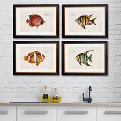 1785 Tropical Fish Framed Prints