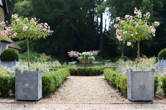 Why Choose Galvanised Garden Planters? A Timeless Investment for Every Garden
