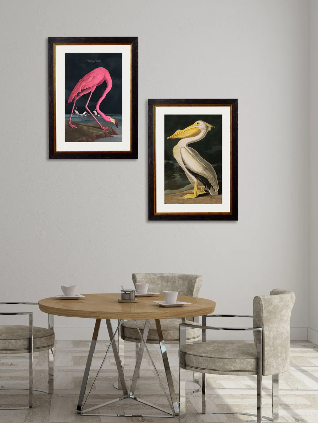 C.1838 Audubon's Dark Flamingo Vintage Framed Print