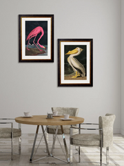 C.1838 Audubon's Dark Flamingo Vintage Framed Print