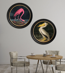 C.1838 Audubon's Dark Flamingo Vintage RoundFramed Print