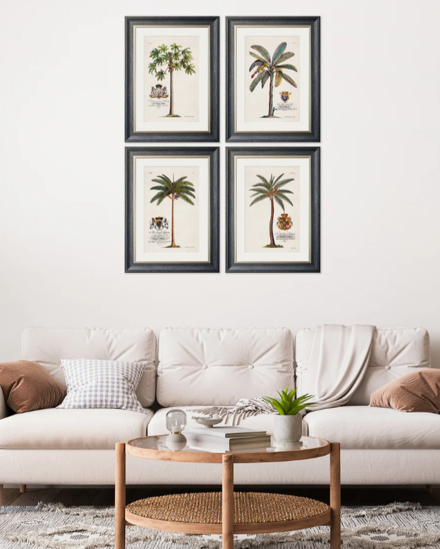 Studies of Palms with Aston Frame