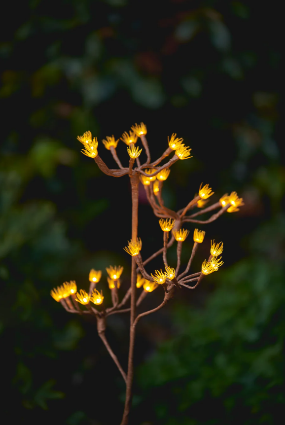 Solar LED Wild Fennel Branch