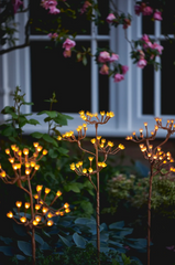 Solar LED Wild Fennel Branch