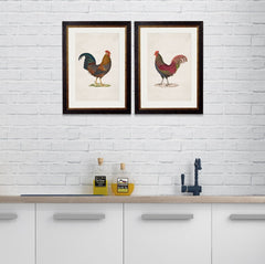 C.1838 Junglefowl Vintage Framed Prints