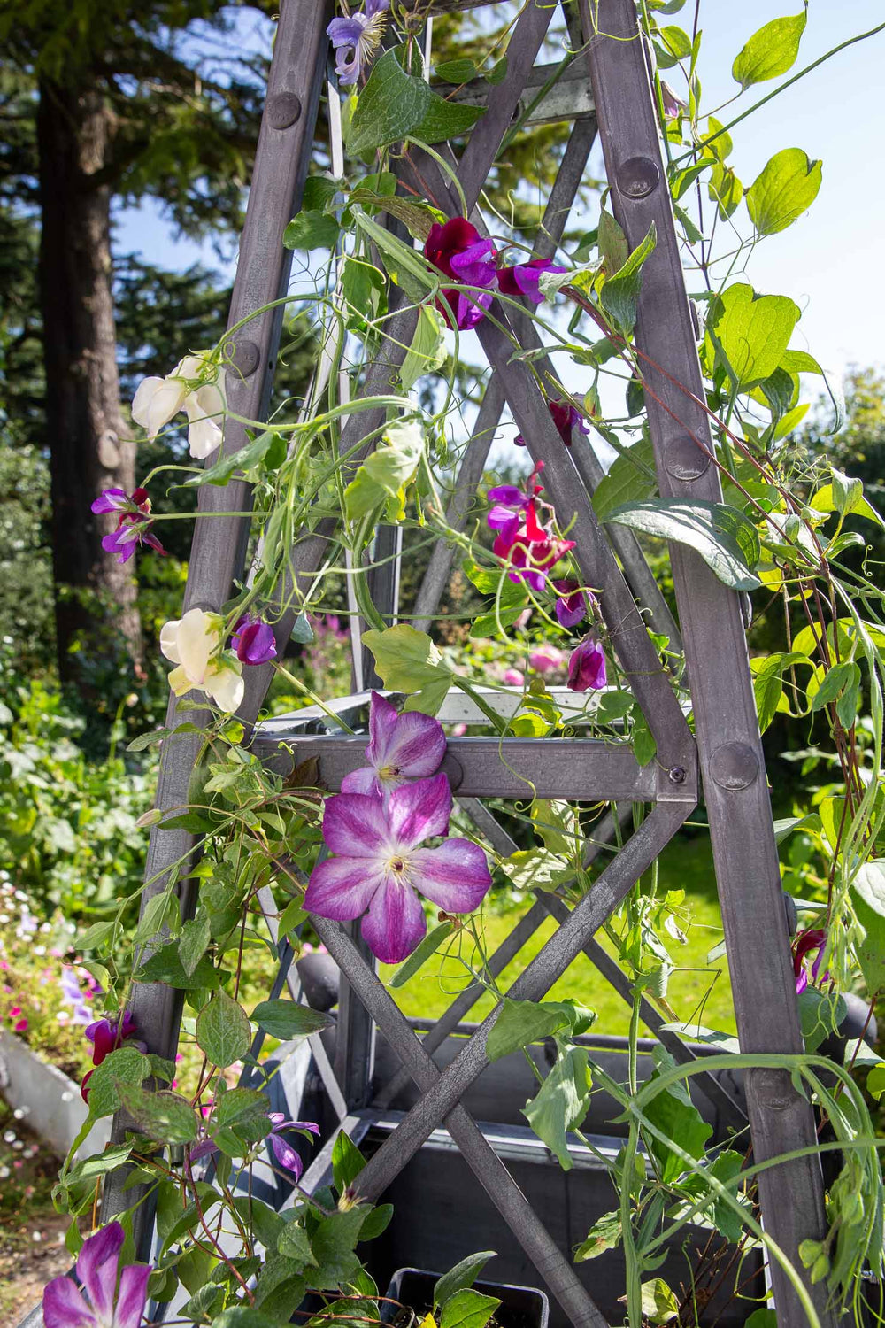 Georgian Style Galvanised Steel Obelisk | Arthur Jack