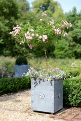 Traditional Georgian Style Handcrafted Galvanised Steel Planters with Tudor Rose Decor