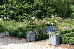 Traditional Georgian Style Handcrafted Galvanised Steel Planters with Tudor Rose Decor