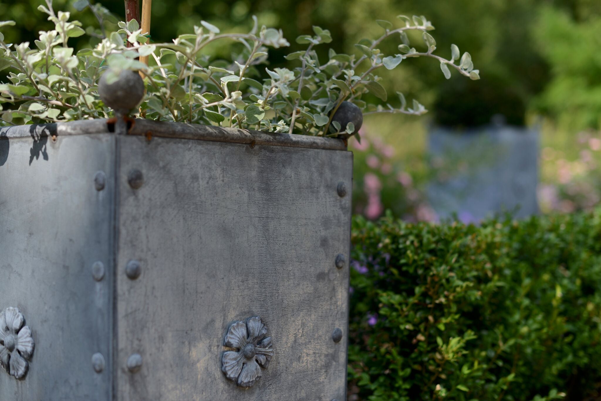galvanised metal plant pots Handmade Galvanised Steel Planters with Tudor Rose Decor | Arthur Jack