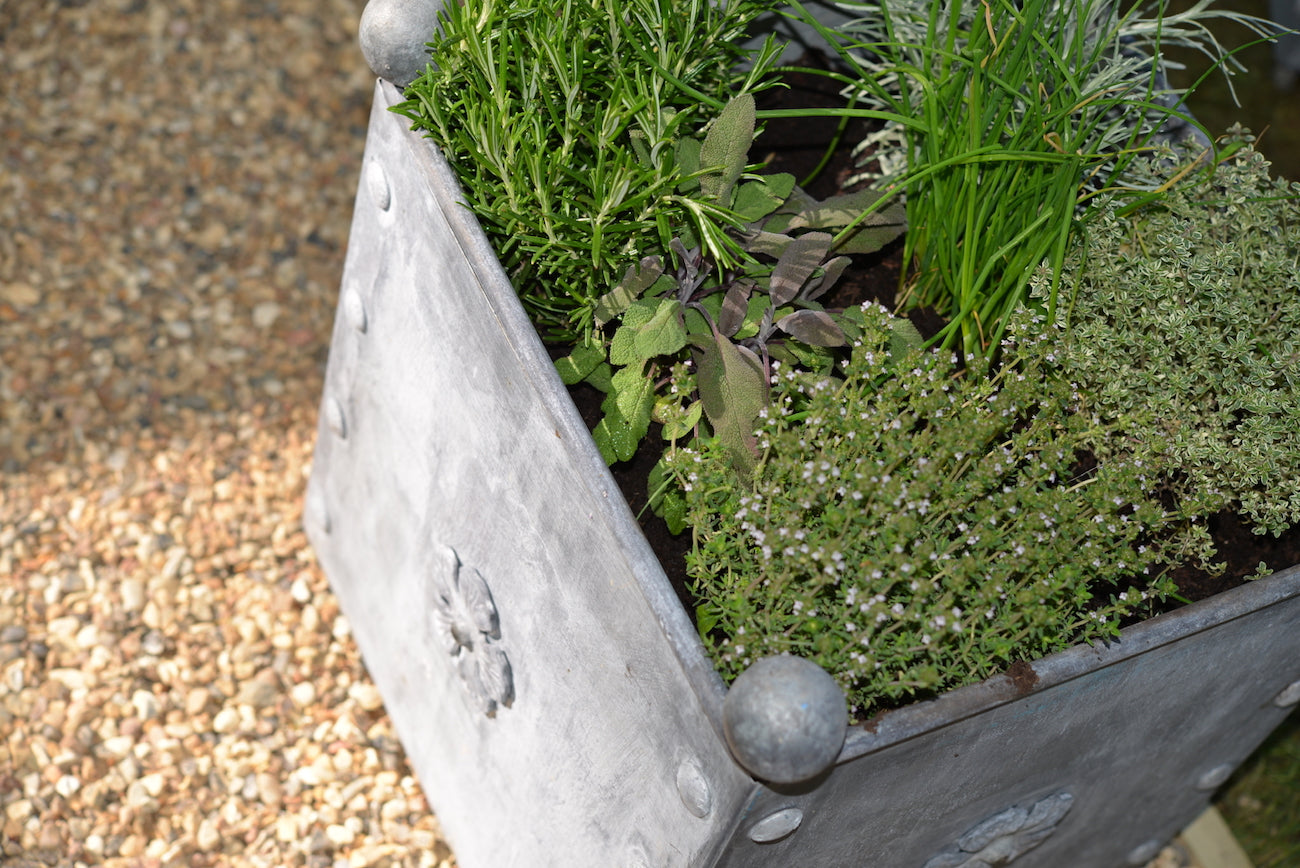 Traditional Georgian Style Handcrafted Galvanised Steel Planters with Tudor Rose Decor