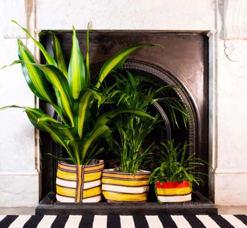 Large 25cm  Eco Woven Plant Pot Cover in Tuscan Yellow, Pearl & Rose Beige, British Colour Standard