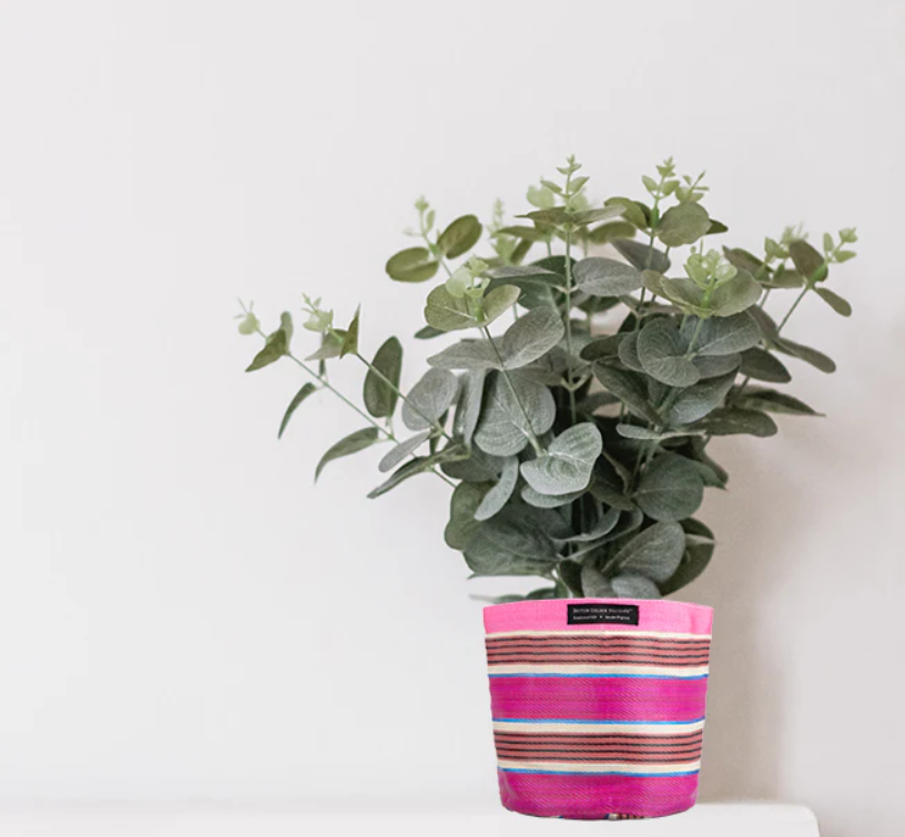 Medium 19cm Eco Woven Plant Pot Cover in Neyron Pink, Pompadour & Pearl, British Colour Standard
