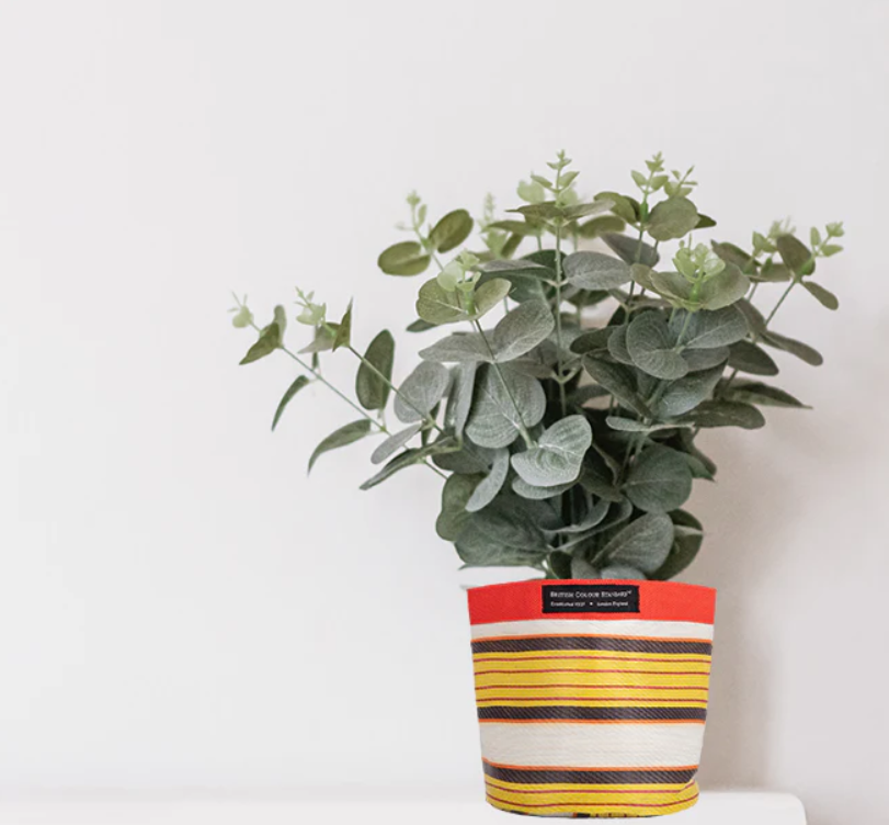 Medium 19cm Eco Woven Plant Pot Cover in Tuscan Yellow, Pearl & Rose Beige, British Colour Standard