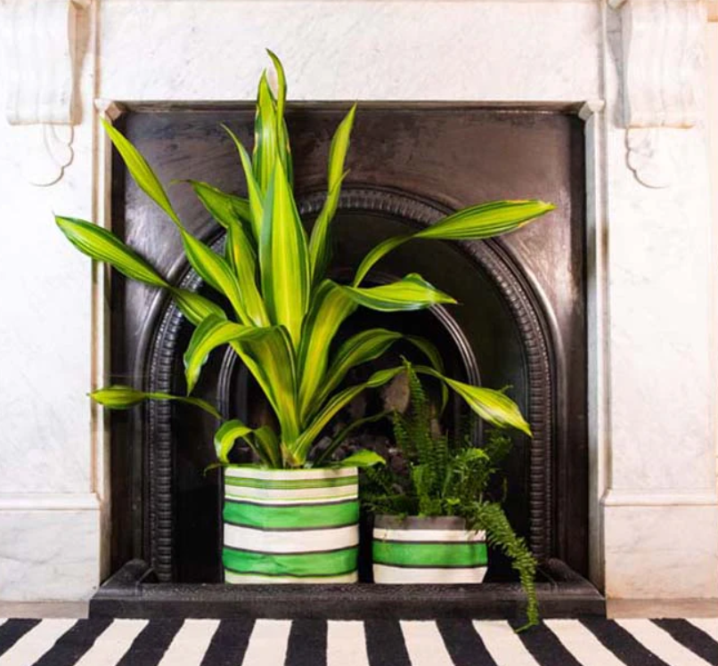 Medium 19cm Eco Woven Plant Pot Cover in Grass Green, Indigo & Pearl