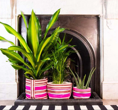 Small 14cm Eco Woven Plant Pot Cover in Neyron Pink, Pompadour & Pearl, British Colour Standard