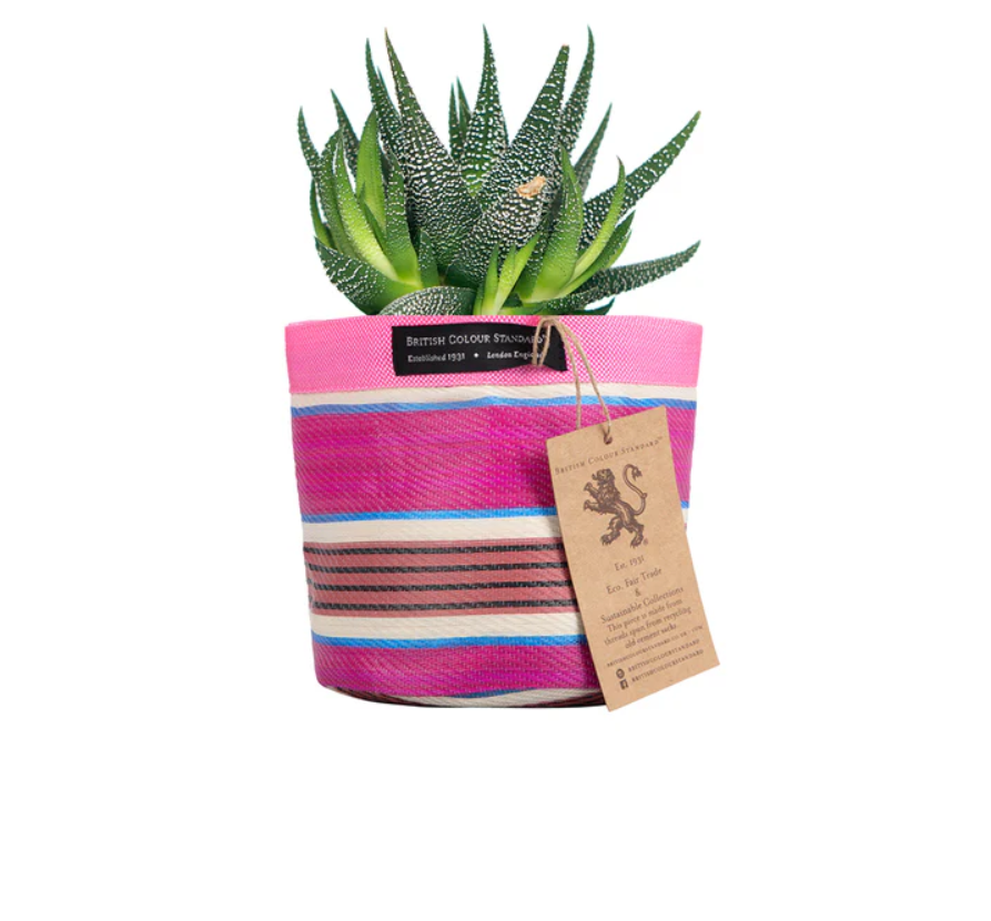 Small 14cm Eco Woven Plant Pot Cover in Neyron Pink, Pompadour & Pearl, British Colour Standard