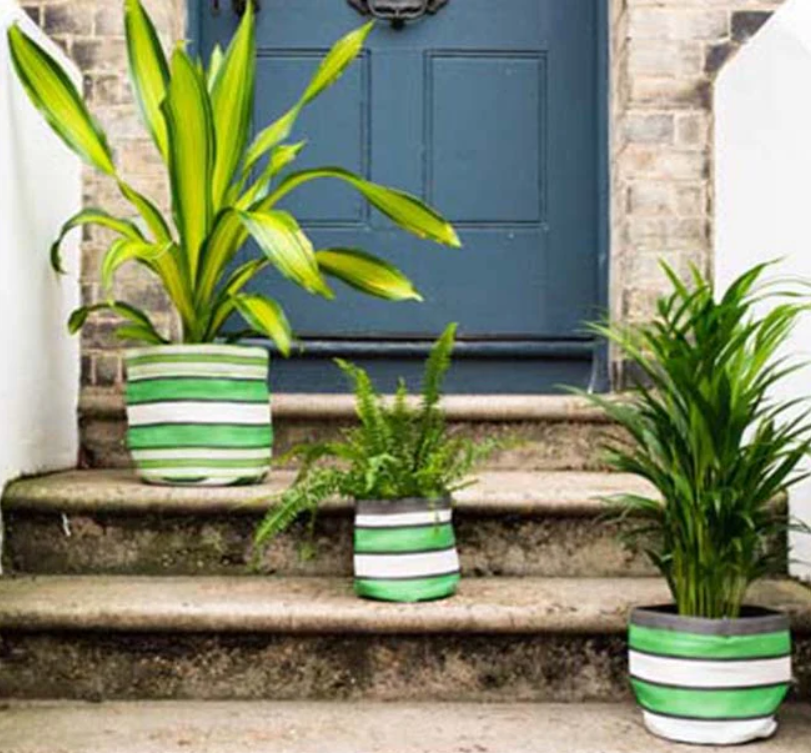 Small 14cm Eco Woven Plant Pot Cover in Grass Green, Indigo & Pearl, British Colour Standard