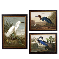 C.1838 Audubon's Herons Framed Vintage Prints