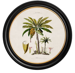 C.1812 Vintage Pineapple Study with Round Frame