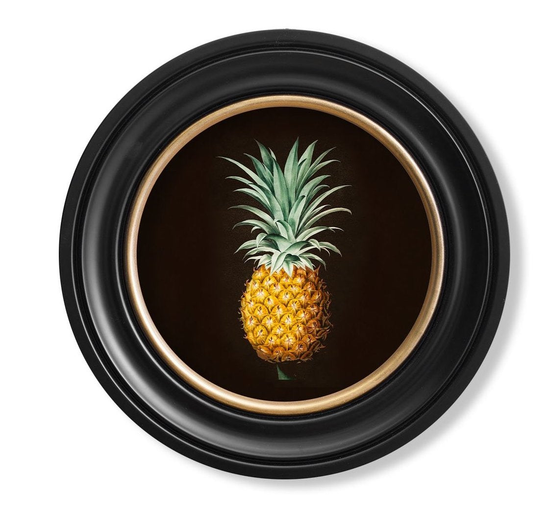 C.1812 Pineapple Vintage Study with Round Frame