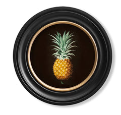 C.1812 Pineapple Vintage Study with Round Frame
