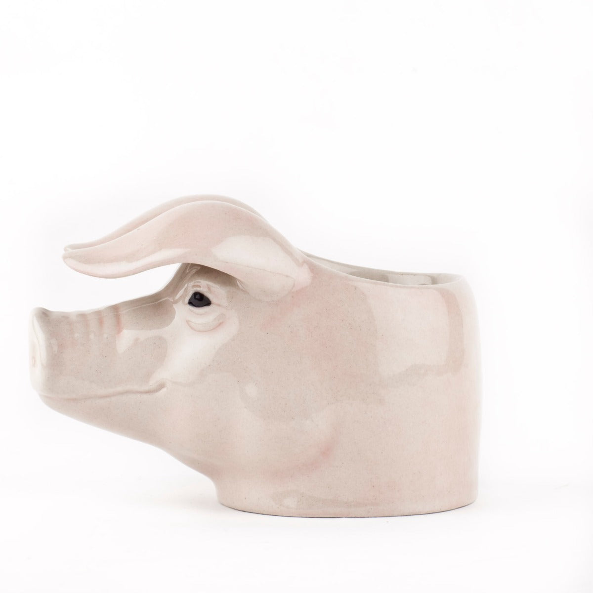 British Lop Pig Face Egg Cup