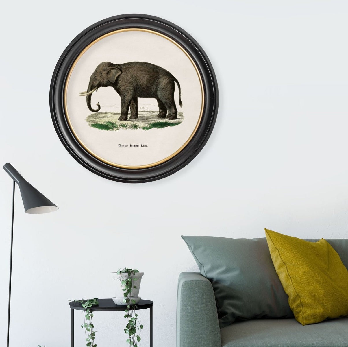 C.1846 Indian Elephant Vintage Prints with Round Frame