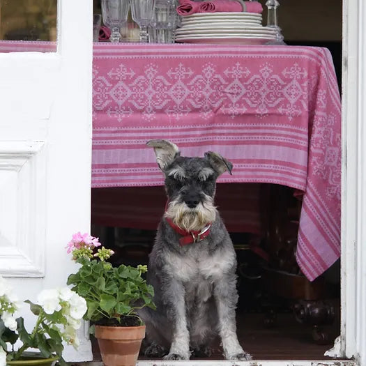 Nostalgia Tablecloth in Cranberry Red & Cream | Julia Brendel
