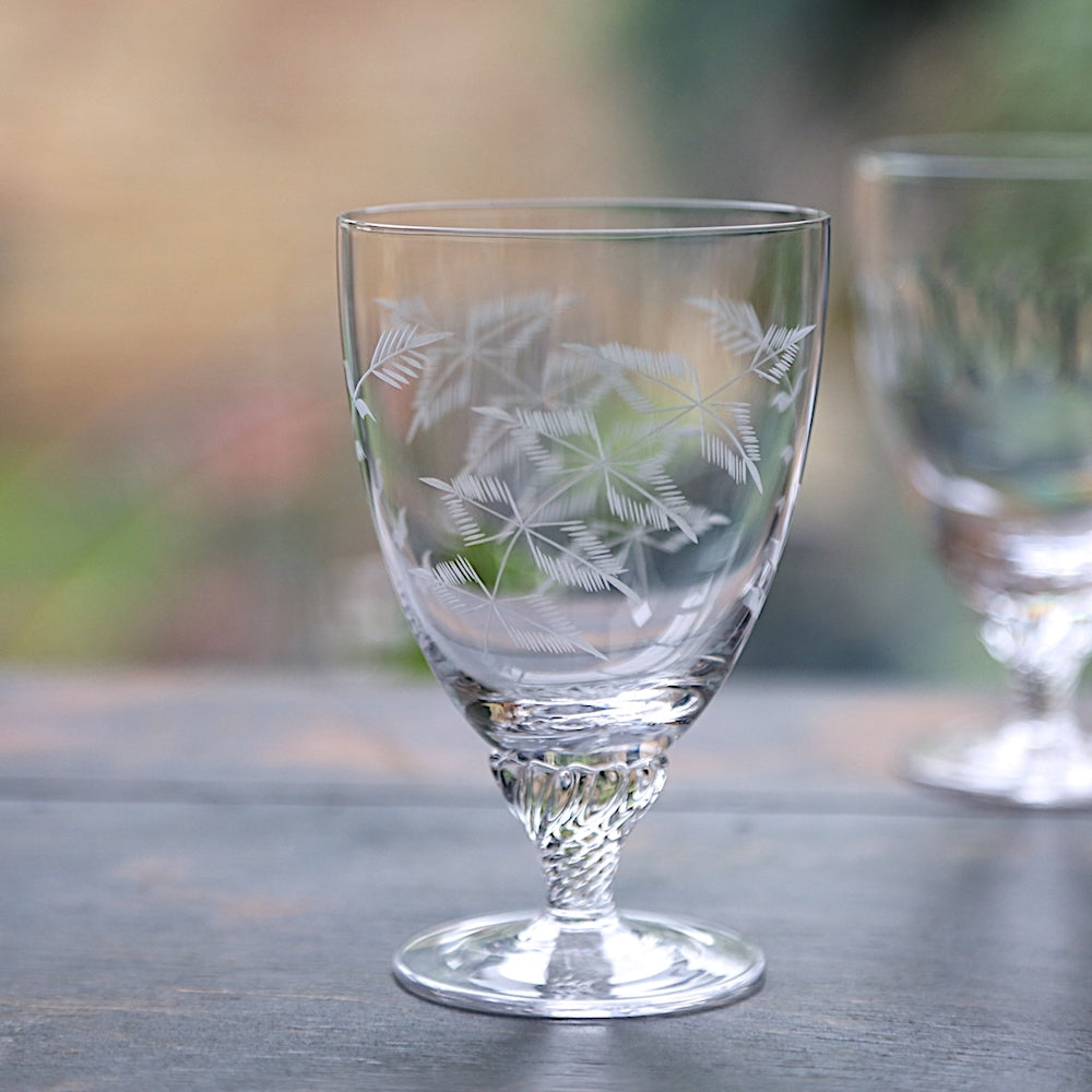 Set of 6 Crystal Bistro Wine Glasses with Fern Design