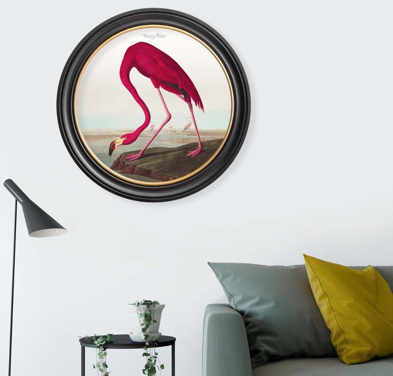 C.1838 Audubon's Birds of America- American Flamingo- Round Frame