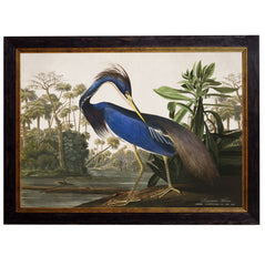 C.1838 Audubon's Herons Vintage Framed Prints